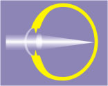 Lichtstrahlenverlauf beim normalen Auge